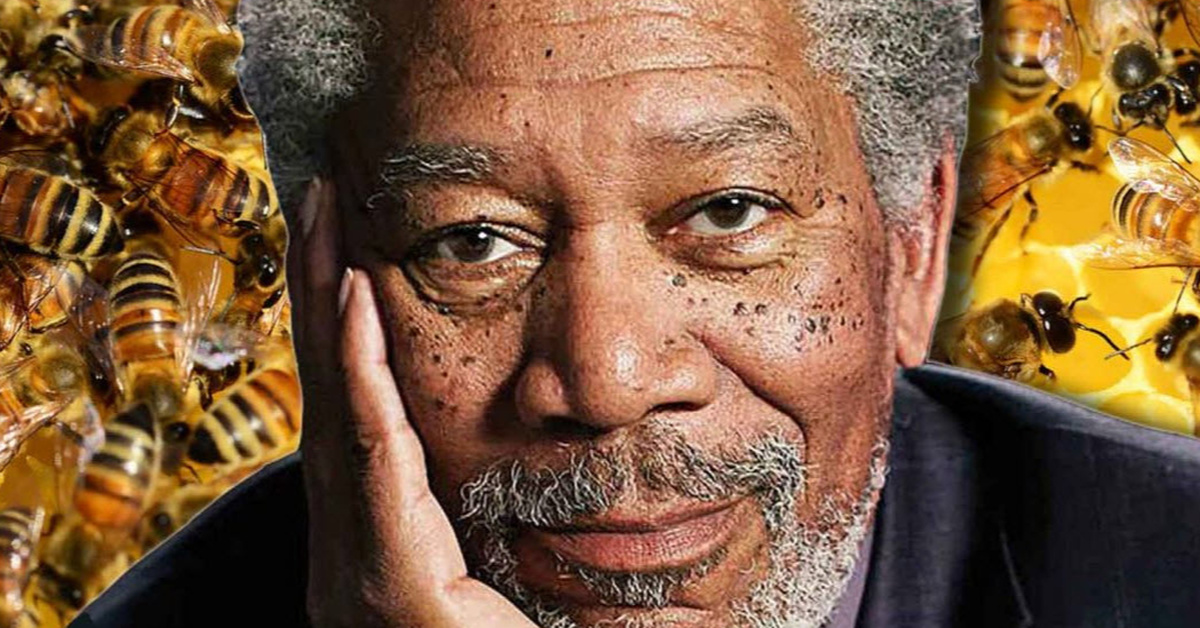 Freeman Buys 124Acre Ranch And Turns It Into A Bee Sanctuary