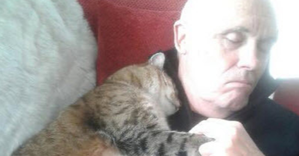 Man Wakes Up After Recovering From Surgery With A Cat Snuggling Him. He