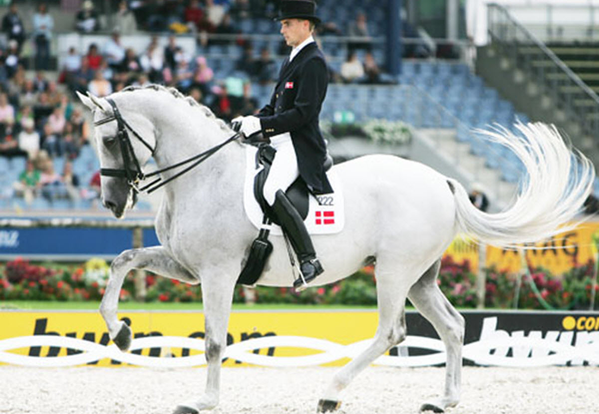 Trotting Horse Who Breaks Out Amazing Dance Moves To Music Goes Viral ...