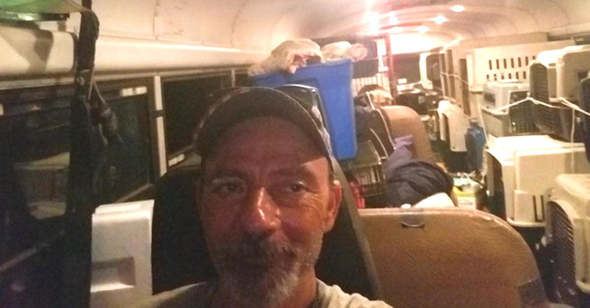 Truck Driver Refused To Let Animals Drown During Hurricanes So He Turned A Bus Into ‘Noah’s Ark’