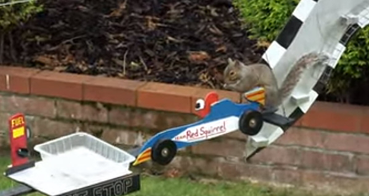 frederico builds a squirrel launching catapult