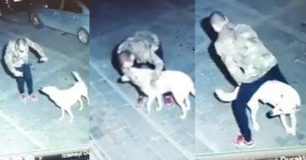 Security Camera Shows Man Sharing A Heartwarming Moment With A Stray ...