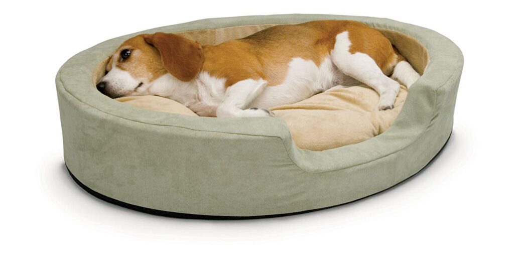 Giant Shoe Beds Are Now Available For Dogs Who Love Slippers Inner