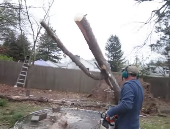 people cutting trees fail gif