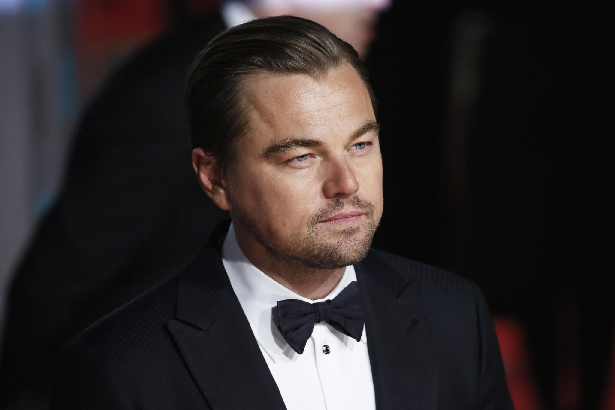 Leonardo DiCaprio Helps Save Rare Animals with a $15.6 Million Donation ...