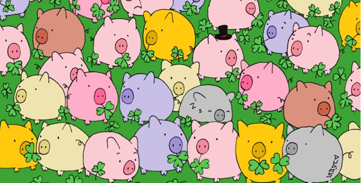 There's a Four Leaf Clover Hidden in this Field of Cute Piglets. Can