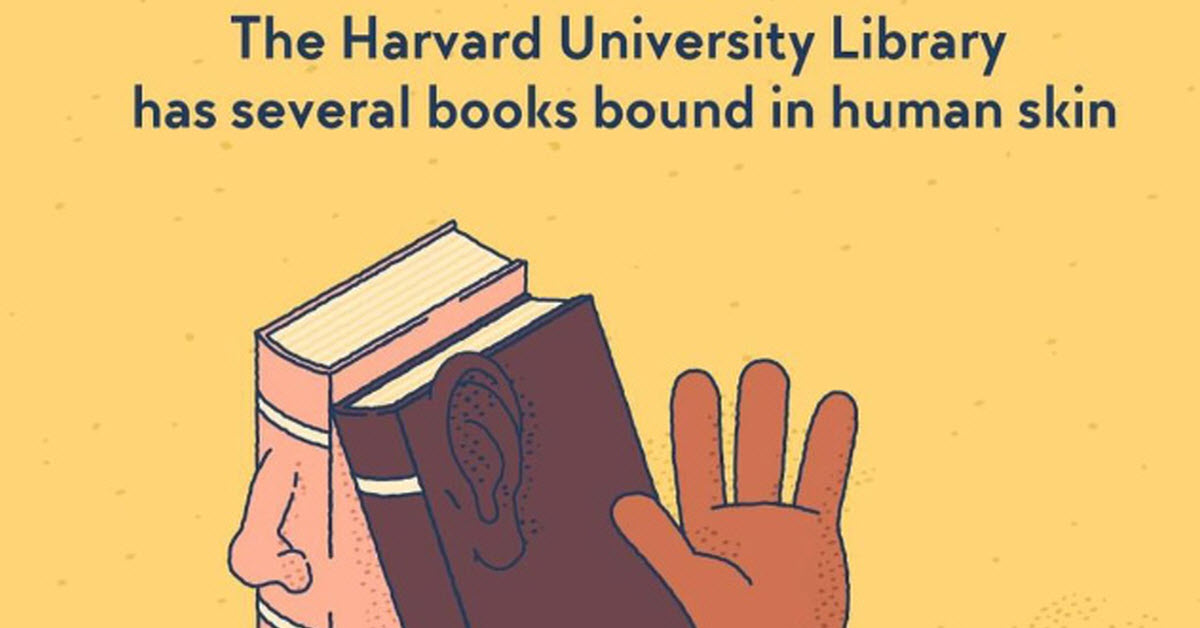 20 Useless Facts You Never Knew (But You Should) Inner Strength Zone