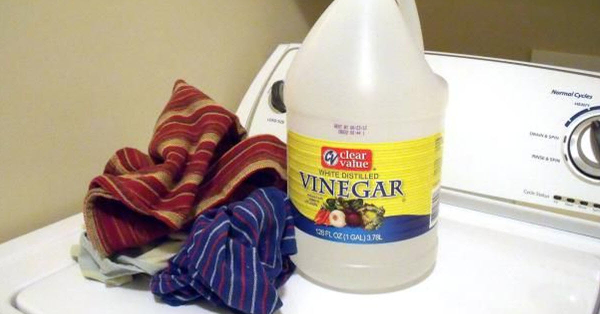 You Can Use Vinegar To Keep Your Whites White, Towels Soft, And Much