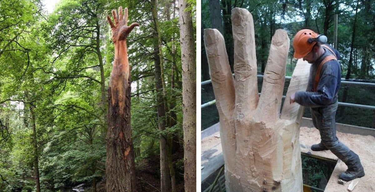 artist-transforms-tallest-tree-in-wales-into-a-giant-hand-reaching