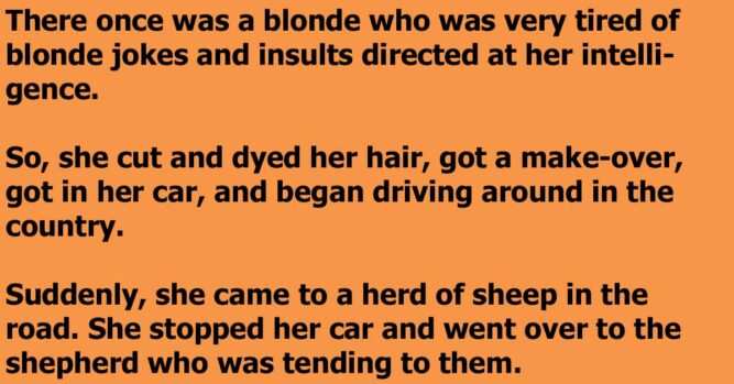 4. "Blonde Jokes" on Reddit - wide 4