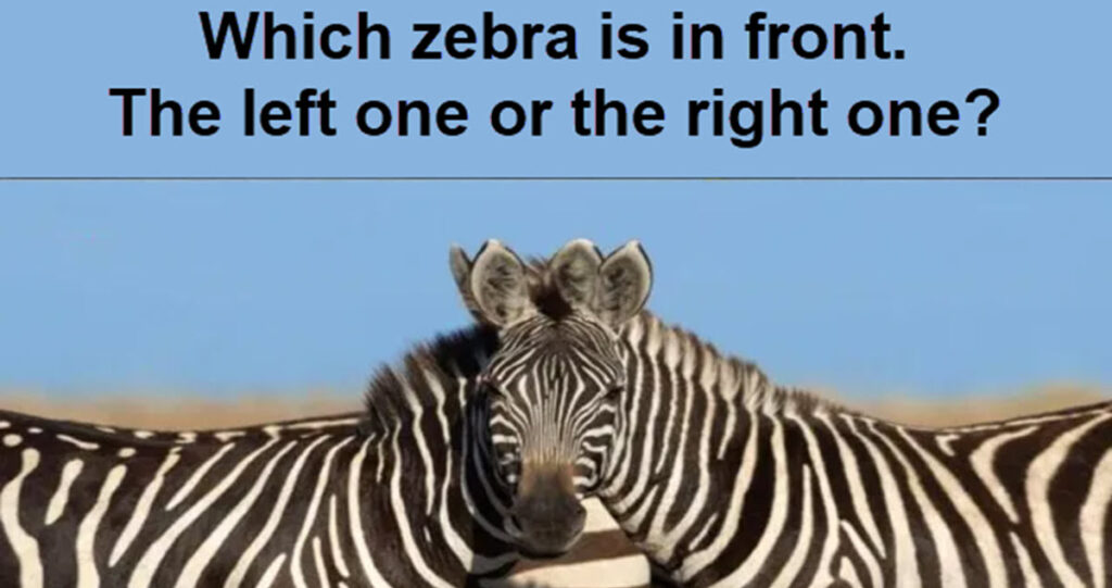 You Probably Can’t Figure Out Which Zebra is in Front in This Crazy